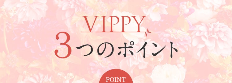 VIPPY3つのポイント