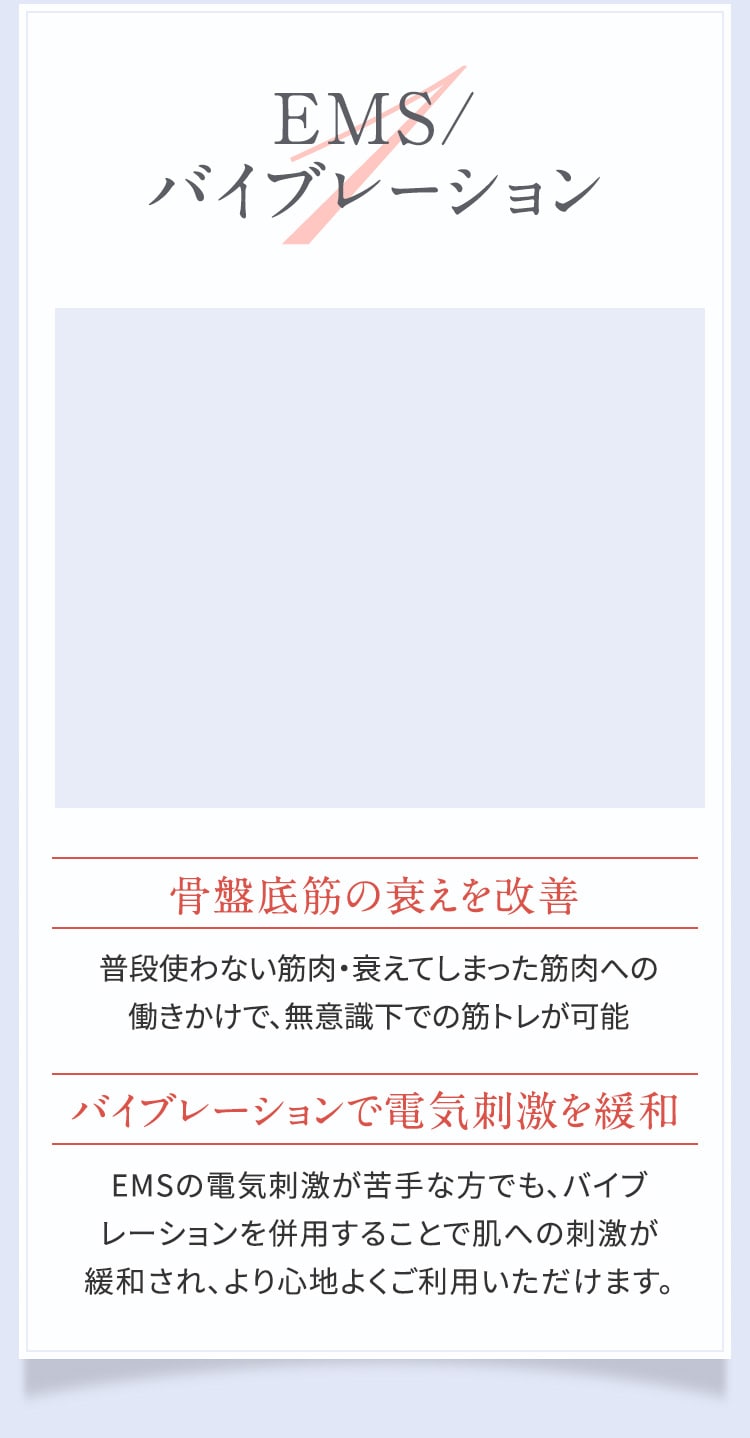 EMS/バイブレーション