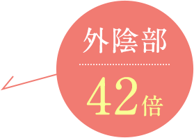 外陰部42倍
